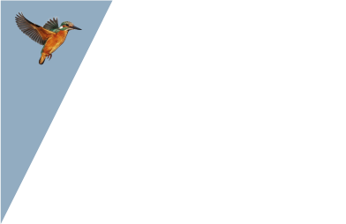 Durrer Systems